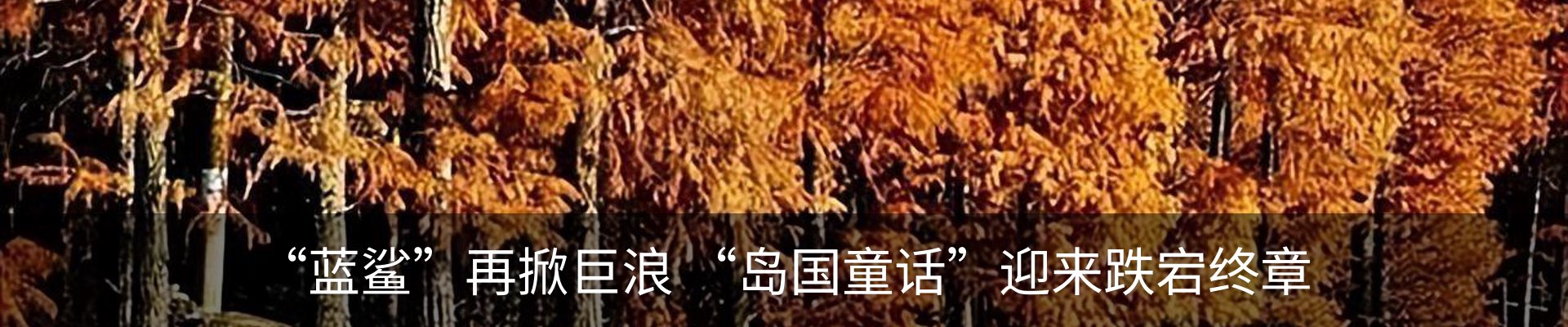 热点资讯