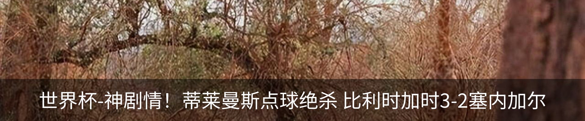 热点资讯