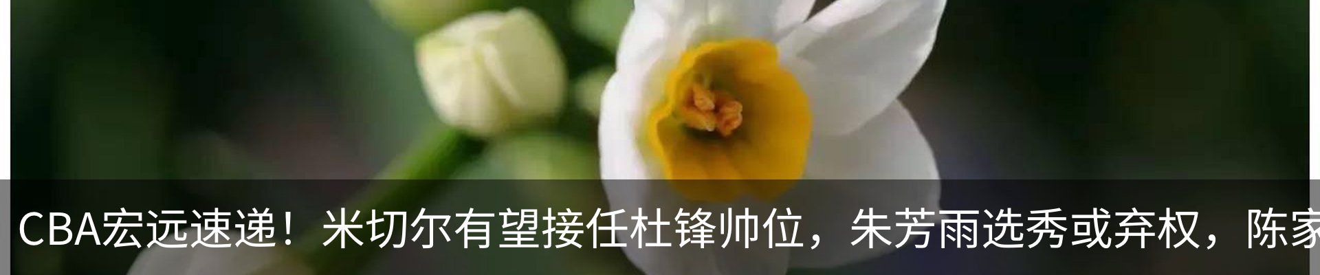 热点资讯